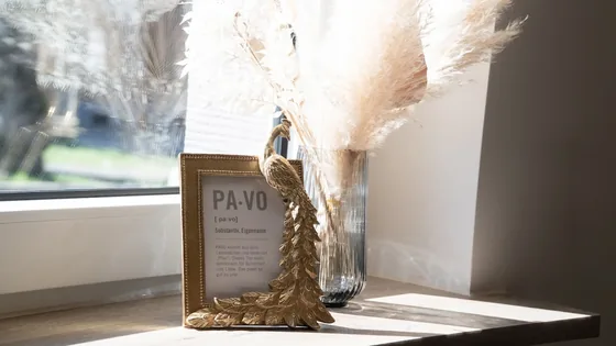 Trockenblumen und PAVO Aufsteller im Salon